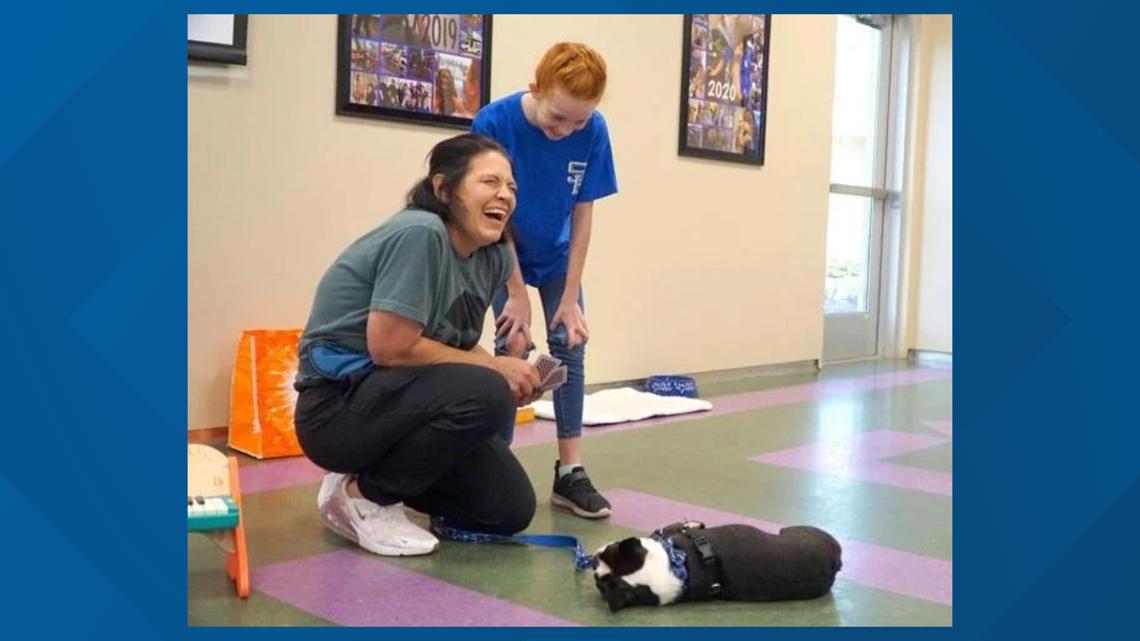 Children learn about pet ownership at Camp Paw-some [Video]