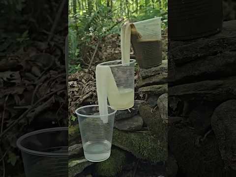 Survival Technique for clean water 💦 [Video]