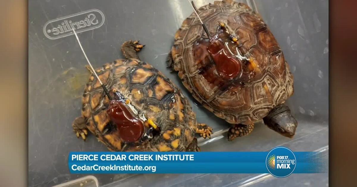 Conservation in a Changing World Series takes place at Pierce Cedar Creek [Video]