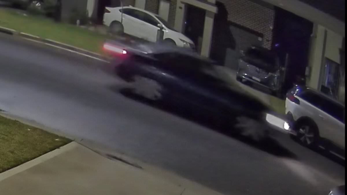 Sydney deadly hit and run: Police release CCTV footage as they try to track down driver responsible [Video]