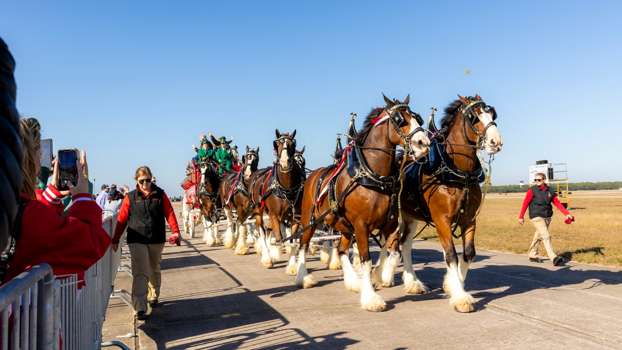 Budweiser iconic Clydesdales coming to metro Atlanta this week [Video]