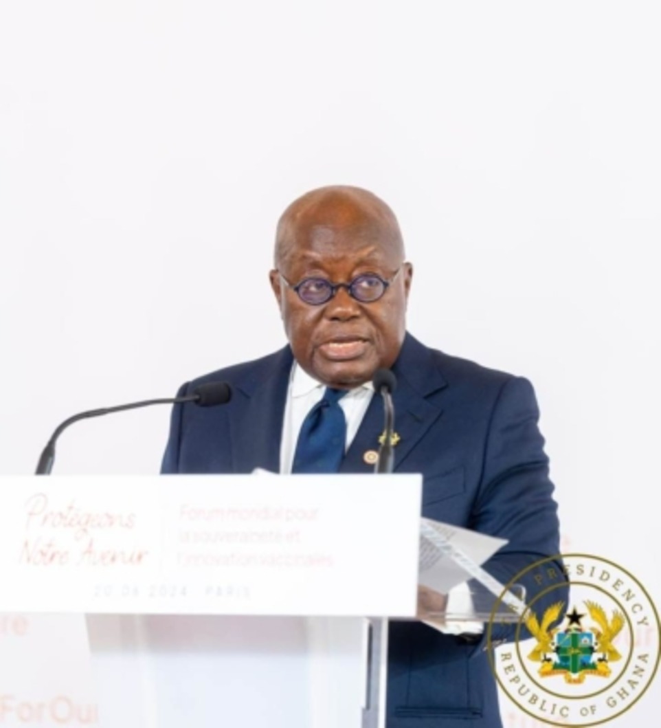 Akufo-Addo highlights Ghanas progress and challenges in achieving SDGs [Video]