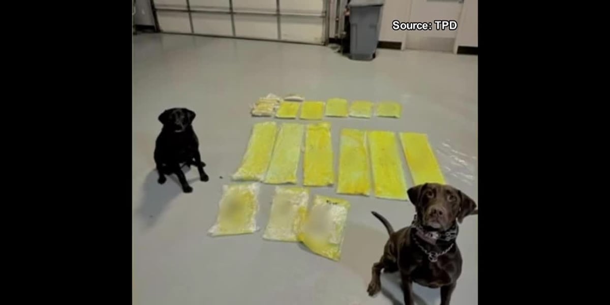 K-9 helps law enforcement in Tucson drug recovery [Video]