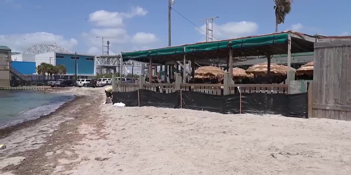 Residents along Texas coast prepare for Hurricane Beryl [Video]