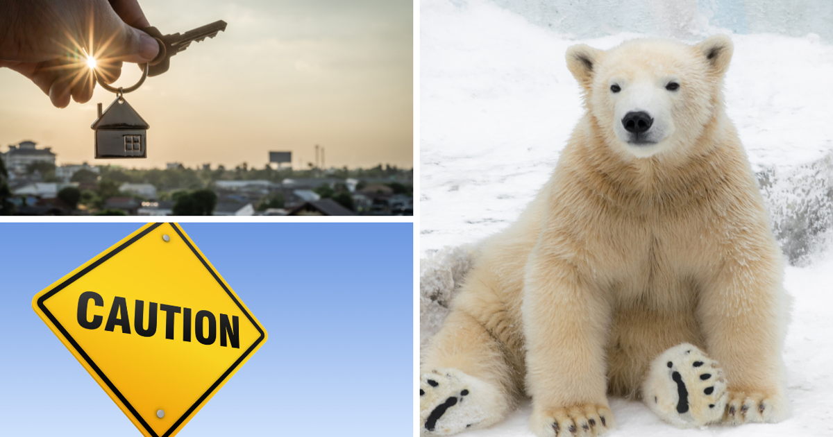 AROUND ALASKA: Affordable Housing, Nightly Blasting, and Polar Bears! | Around Alaska [Video]