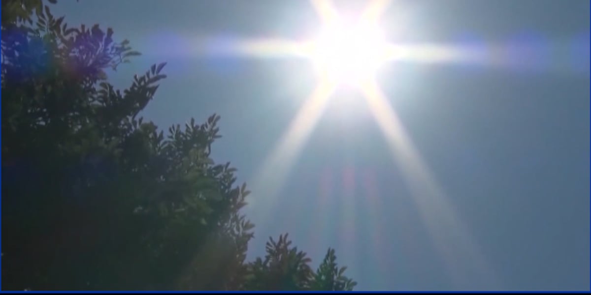 Governor Kotek declares statewide extreme heat emergency [Video]