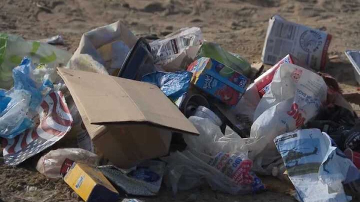 Volunteers remove nearly 4k lbs of trash from county beaches after 4th of July  NBC 7 San Diego [Video]